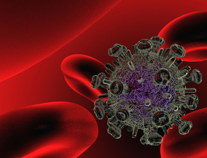 HIV Virus.

Credit image : Flickr / Kanijoman