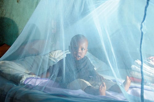 A child under mosquito net