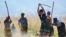 Climat : Valoriser les mesures d’adaptation développées localement en Afrique