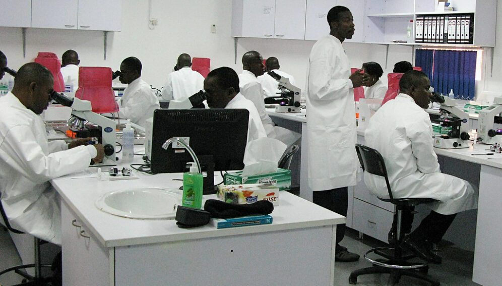 African researchers