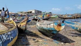 Une drogue 25 fois plus forte que le fentanyl décime la jeunesse guinéenne