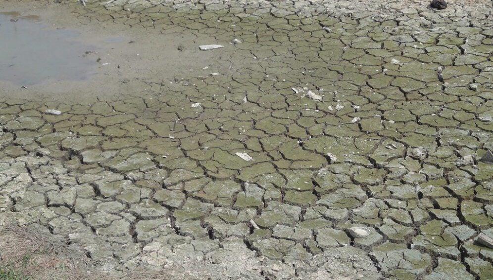 Drought