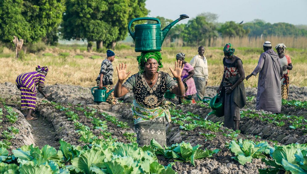 Farmin Côte d'Ivoire