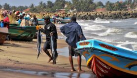 Une maladie éloigne les pêcheurs de la mer en Guinée