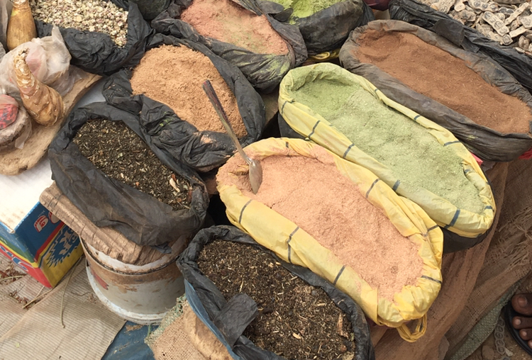 Hausa traditional medicines