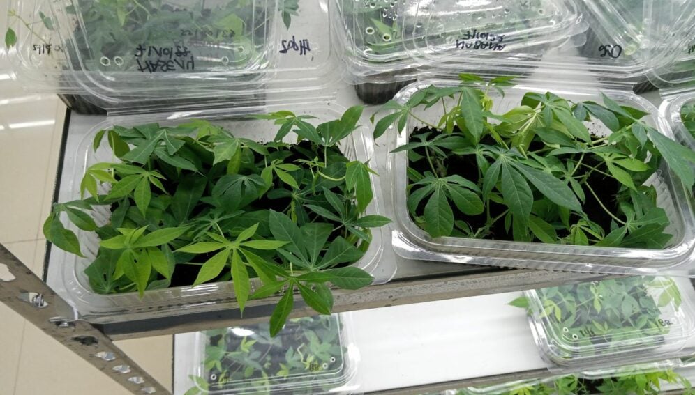 IMG_20221031_112641_741 (2)