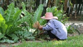 Les hommes plus disposés à participer aux soins domestiques