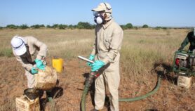 Madagascar : Un pesticide controversé utilisé dans la lutte antiacridienne