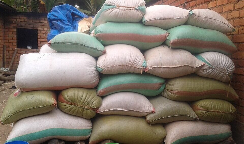 Maize stock Tanzania