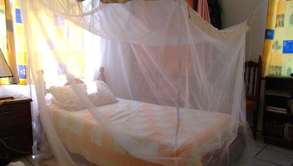 Mosquito net