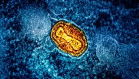 Virus : Comprendre l’apparition de nouveaux variants