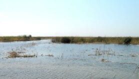Relancer le processus d’inscription du lac Tchad au patrimoine mondial