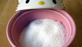 Trois quarts du sel consommé au Sénégal ne sont pas assez iodés