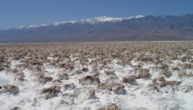 Une solution pour pratiquer l’agriculture sur des sols à forte salinité