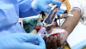 Ntchina, l’application qui aide les patients à trouver des donneurs de sang