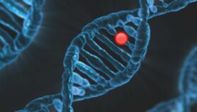 L’analyse des génomes est «la clé de la lutte contre les maladies»
