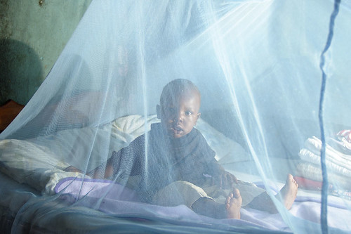 malaria in children
