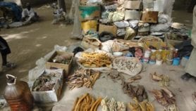 Santé mentale : La Côte d’Ivoire mise sur la complémentarité dans la prise en charge