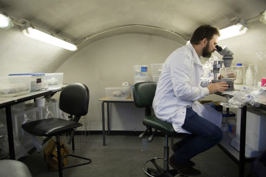 Researcher Matthew Rogers examines the leishmania parasite in his lab at the London School of Hygiene & Tropical Medicine (LSHTM) in the United Kingdom
