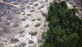 Brasil: el bosque represado