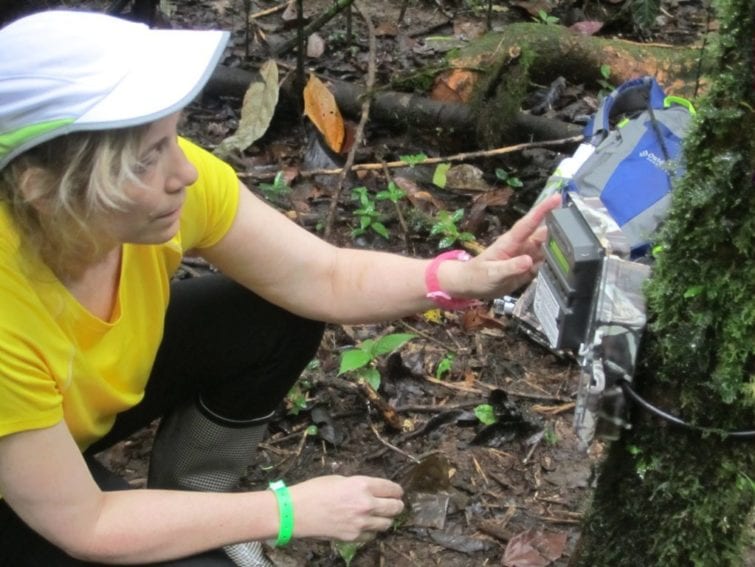 A TEAM researcher sets up a camera trap in La Selva Biological Station, Costa Rica
