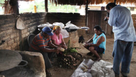 Guyana: Indígenas transmitirán sus prácticas sostenibles