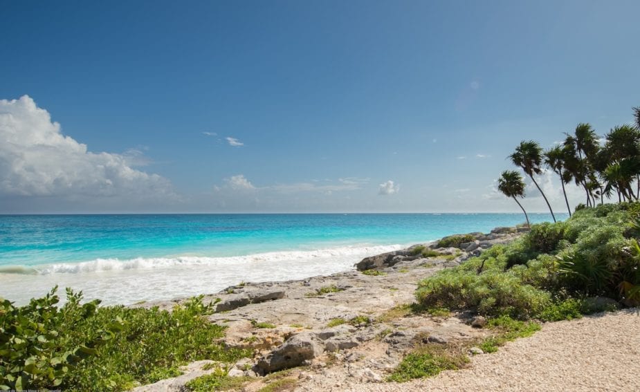 La baja explotación comercial de ciertas zonas de Playa Carmen es un aspecto preferido por turistas, pues en el estudio publicado en Journal of Coastal Research 73 por ciento de los encuestados apreció que solo haya baños y algún bar.
