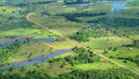 Asentamientos en Amazonas promueven deforestación