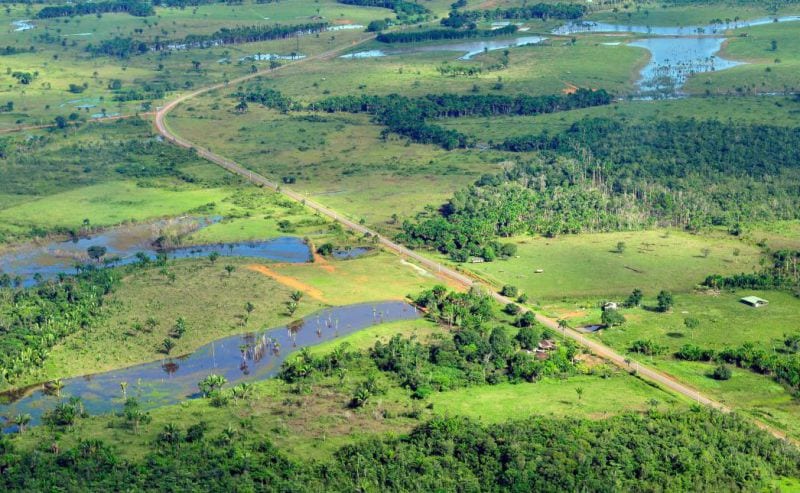 Amazon rainforest resettlement