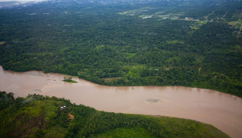 Amazonia-by Rainforest Action Network