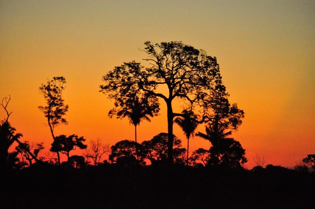 atardecer amazonia by cifor