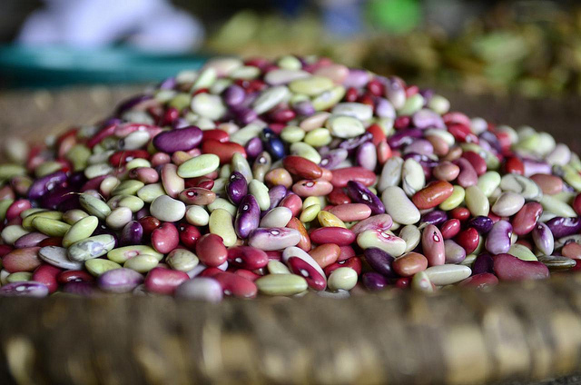 Beans-CIAT_Rwanda_Credit-Neil_Palmer_(CIAT)