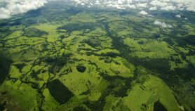 Auge de crecimiento arriesga áreas protegidas de Brasil