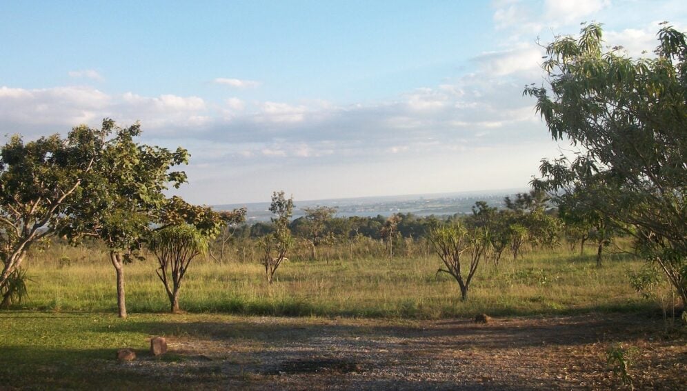 cerrado_brasil-Lucinete de Sousa-Embrapa