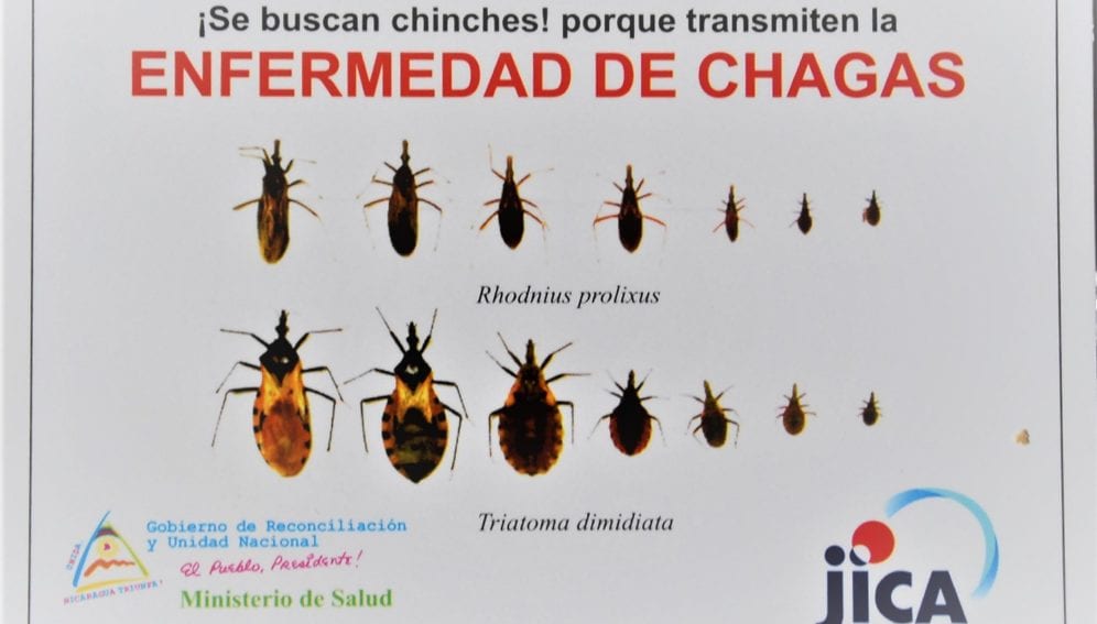 Vacante Célula somatica Realista Centroamérica: fumigar viviendas no basta para eliminar Chagas - América  Latina y el Caribe