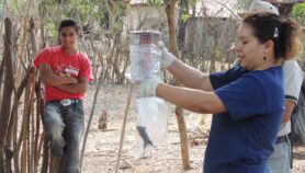 Intervención de la comunidad ayuda a prevenir el Chagas