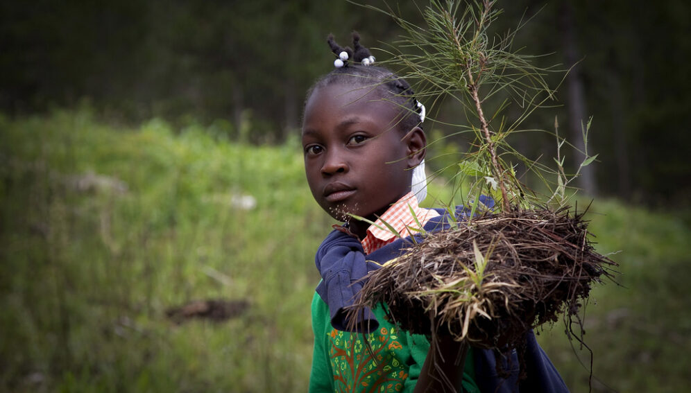 Child Holding Tree_UN Photo_Logan Abassi.jpg