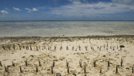 Pequeños estados insulares sin ciencia climática