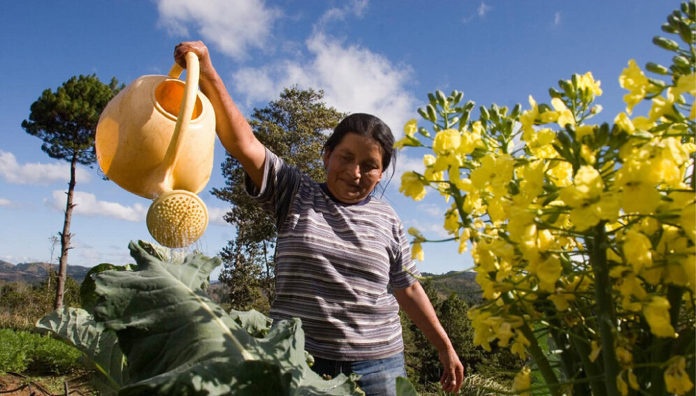 Crop yields food security Oxfam International