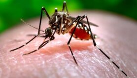 Investigación evidencia alto costo de dengue para Brasil