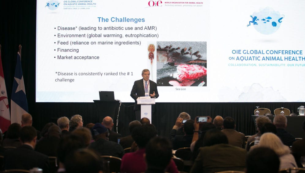 Global Conference on Aquatic Animal Health by OEI.jpg