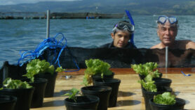 Costa Rica promueve seguridad alimentaria con agricultura acuática