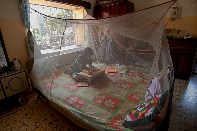 malaria mosquitero PNUD Flickr
