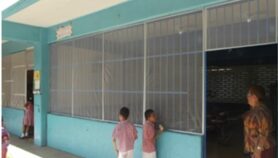 México: mallas con insecticida reducirían dengue