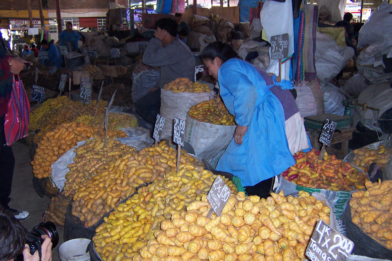 mercado andino de tuberculos by zp