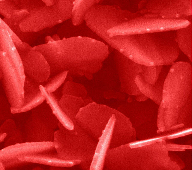 Nanoparti0301culas Argonne
