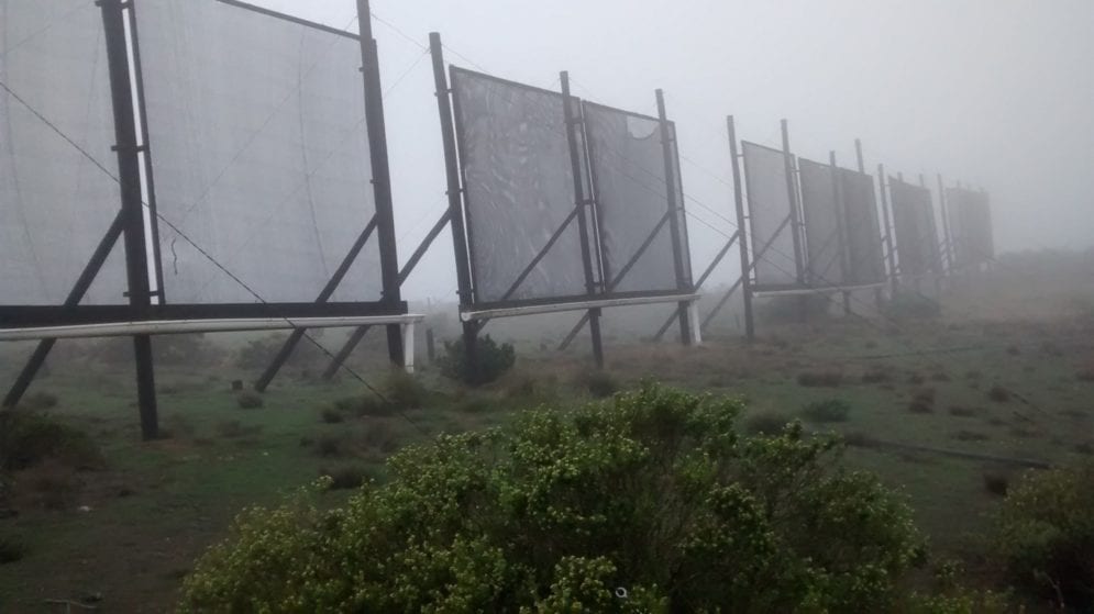 The Peña Blanca community has 12 fog catchers measuring 9 square metres that provide 2,000 litres of water each month. This is being used for reforesting the Cerro Grande hill. Soon they will install 10 more fog catchers.
