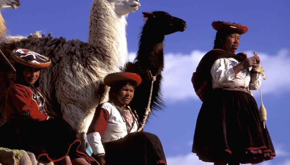 Peruvian Llamas_Jeremy Horner_Panos