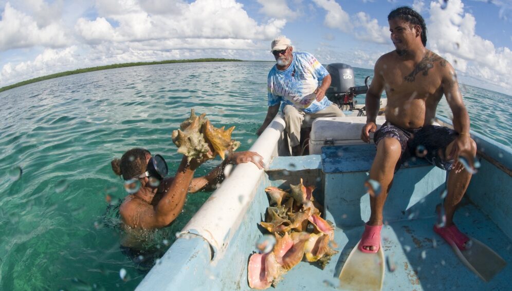 pesca-caribe-AntonioBusiello-WWF.jpg