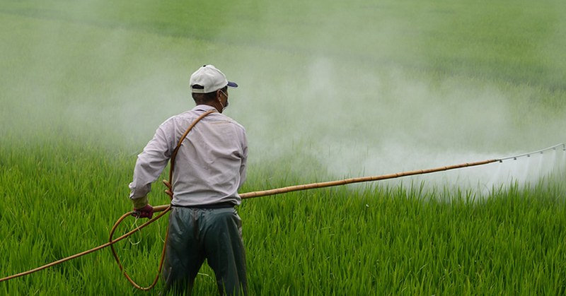 pesticidas radio alfa